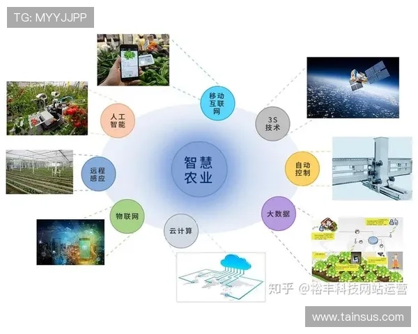 ued体育在电竞行业中的地位与未来发展前景深度解析 ued体育在电竞行业中的地位与未来发展前景深度解析
